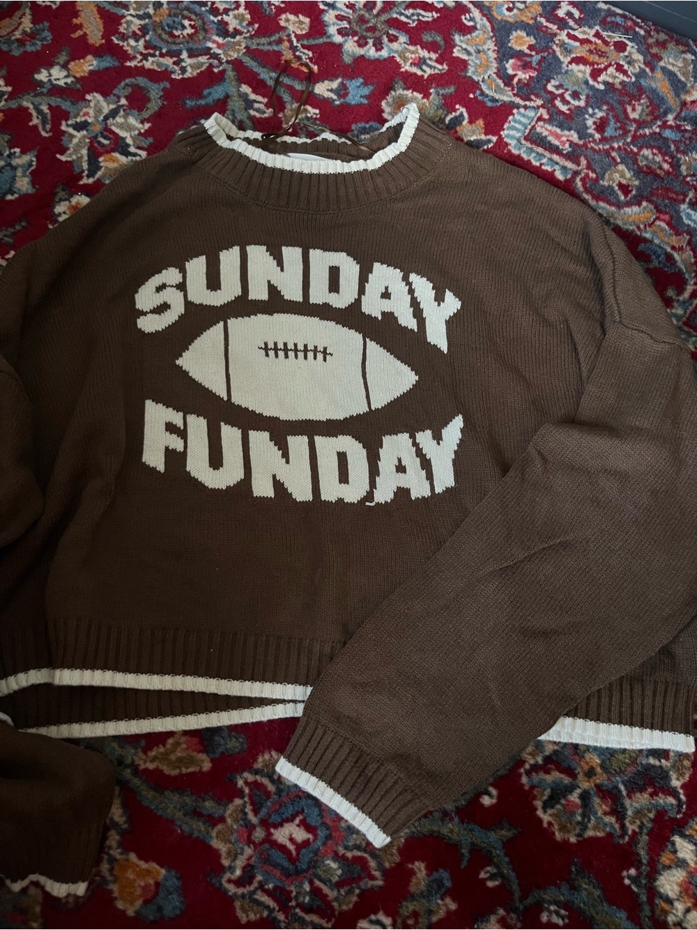Sunday Funday Brown Knit Sweater - Men
